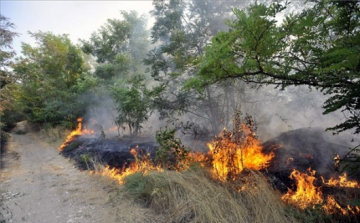 Négy megyében rendel el tűzgyújtási tilalmat a Nébih