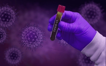 Belgiumban a szakértők szerint a koronavírus kezd eltűnni