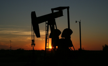 Az olajkitermelés csökkentéséről tárgyalt az orosz elnök és a szaúdi trónörökös