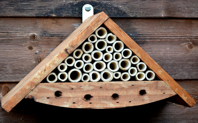 Február végéig érdemes elkészíteni és kihelyezni a méhhoteleket