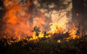 Több mint 600 tűzoltó sem bírt a lángokkal az amerikai Montana államban 